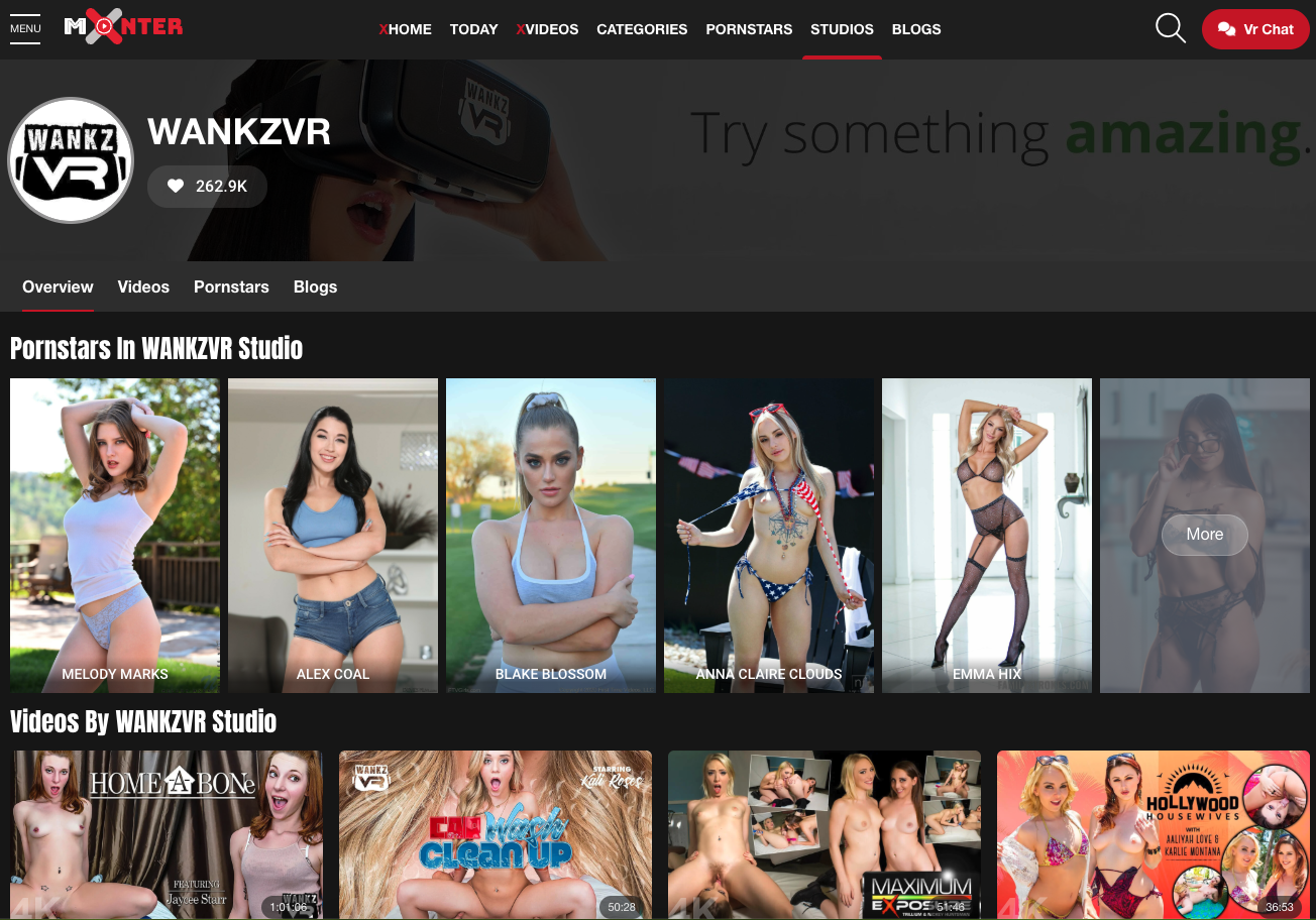 Best VR Porn Studios Ranked 2026