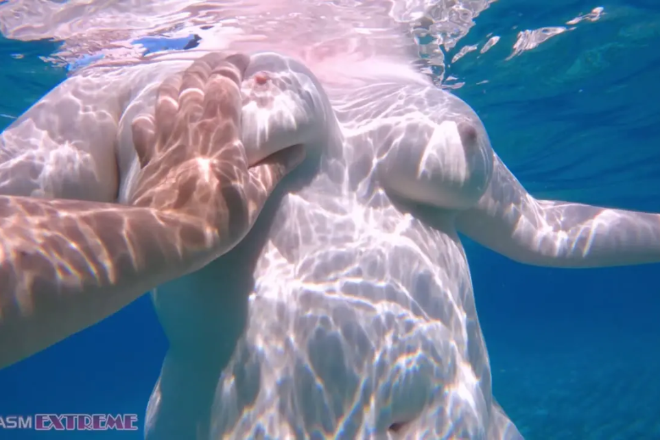 Fucking in the Ocean 2025: The Stupidest Way to Ruin Your Dick and Vag